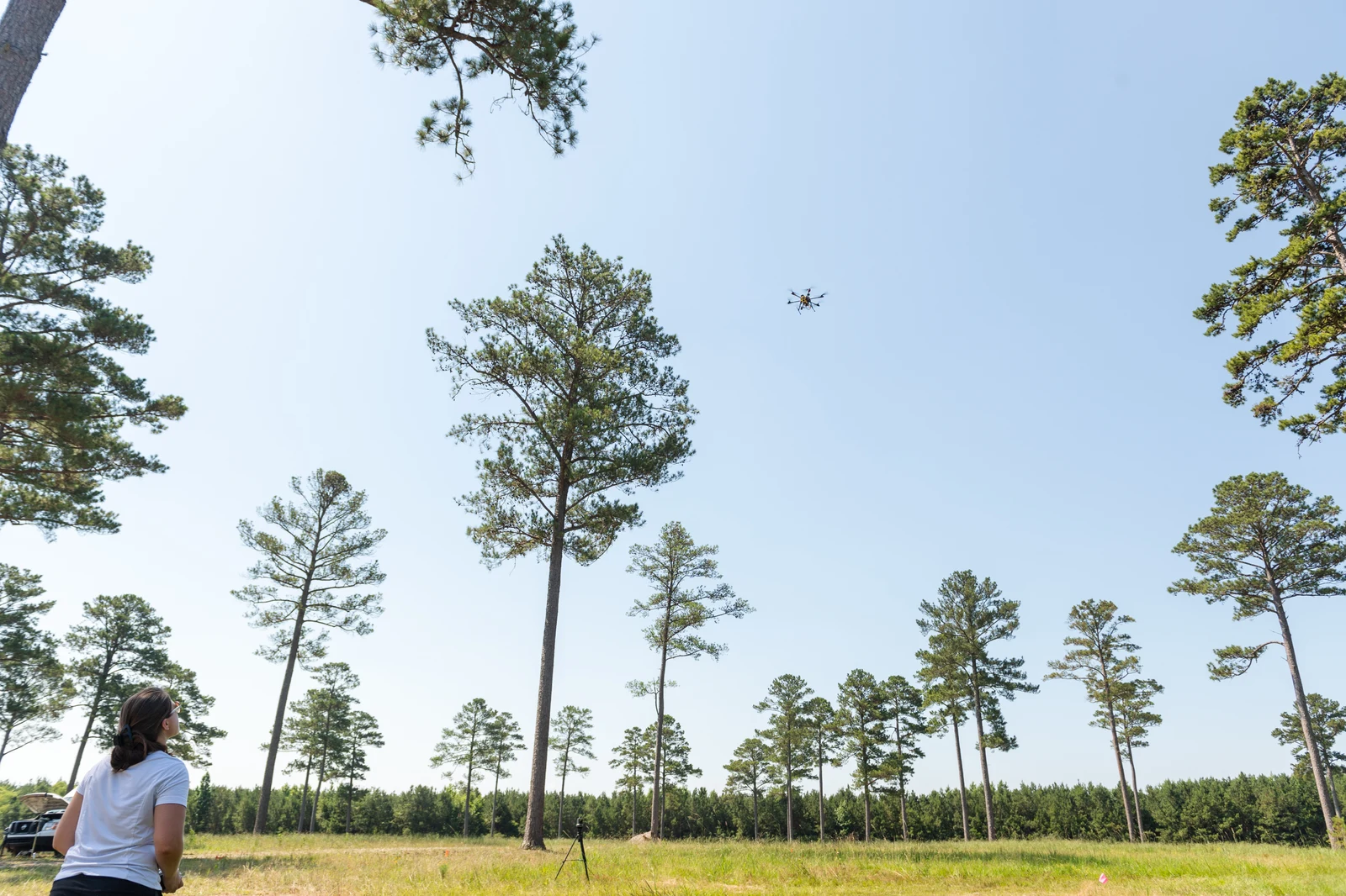 Drone flies above a field while an operator watches from below.